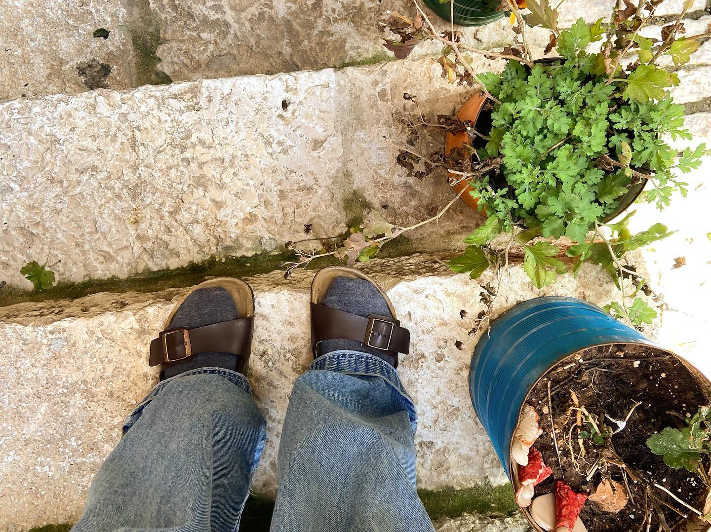 _femalien instagram image archive image