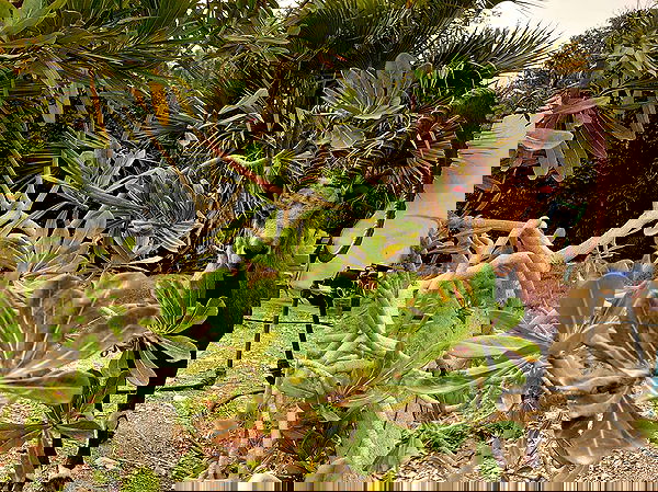 _femalien image ~ Altpins