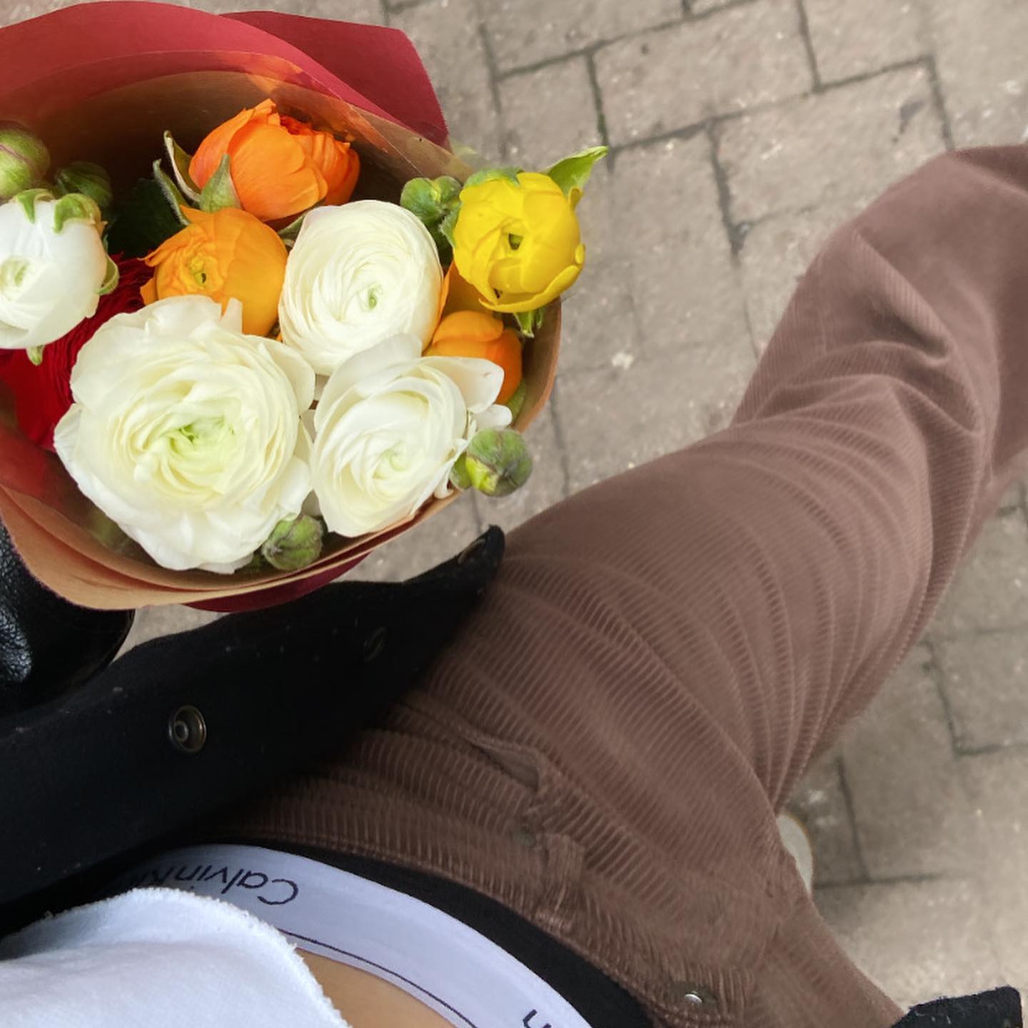 _femalien instagram image archive image