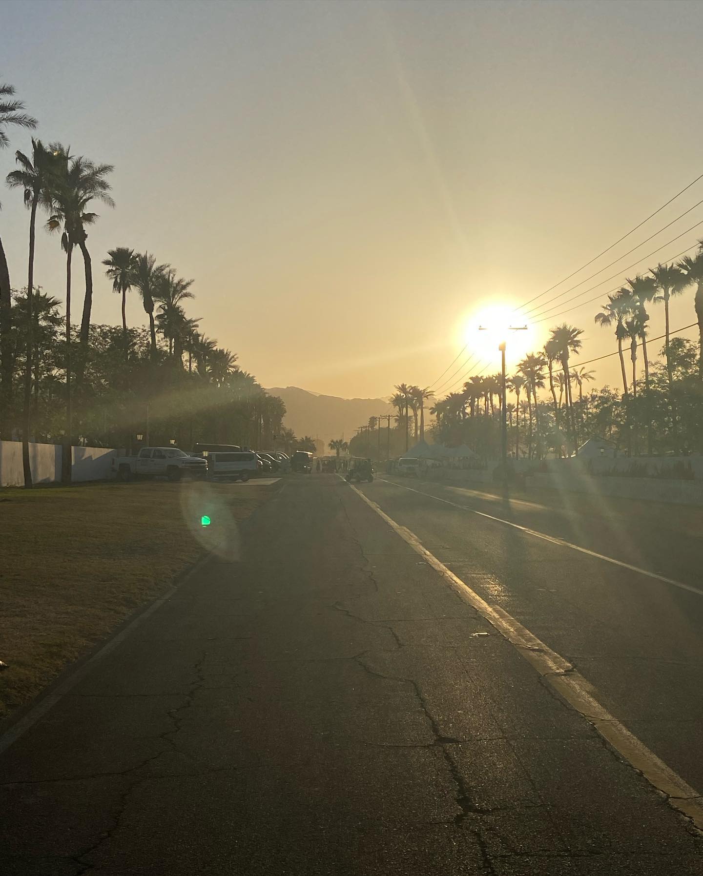 _femalien instagram image archive image