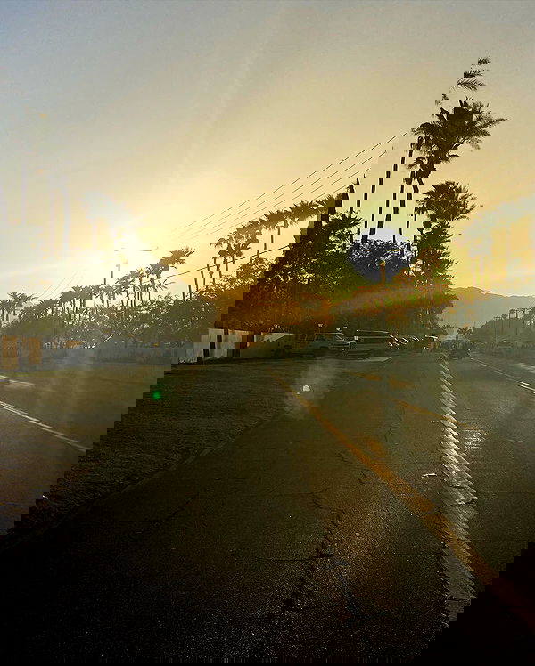 _femalien image ~ Altpins