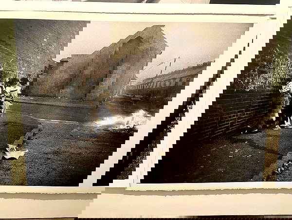 _femalien image ~ Altpins