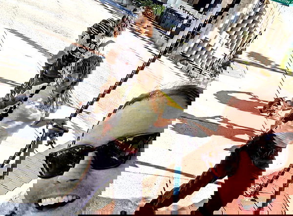 _femalien image ~ Altpins