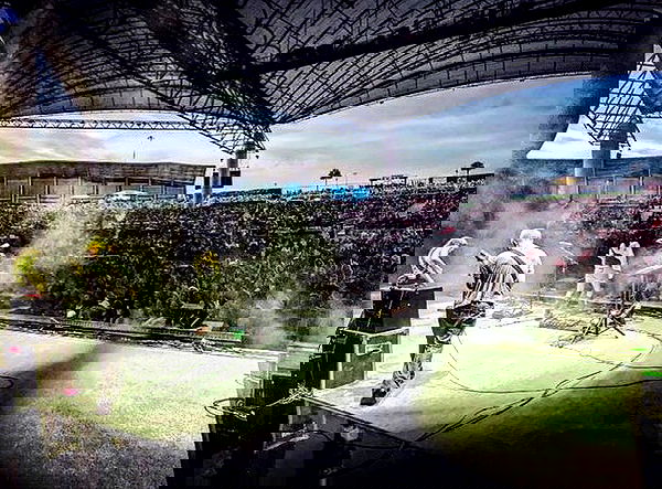 _femalien image ~ Altpins