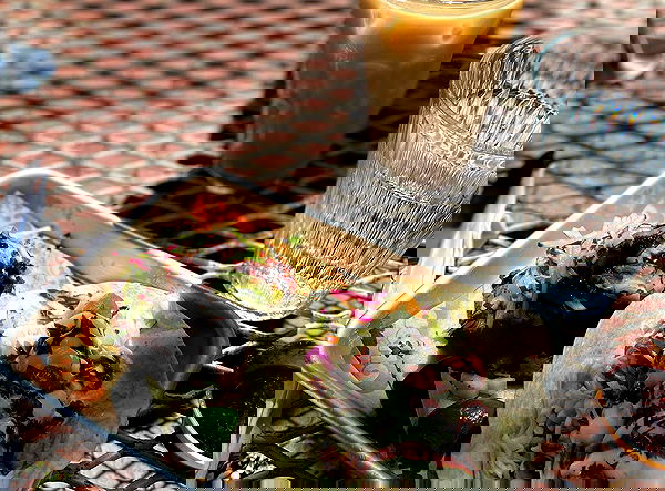 _femalien image ~ Altpins