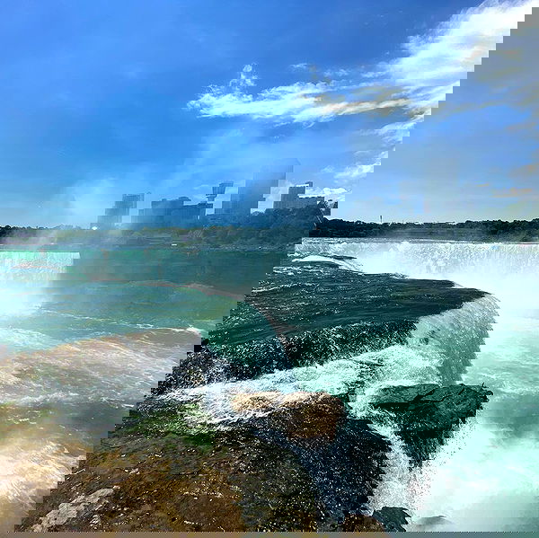 _femalien image ~ Altpins