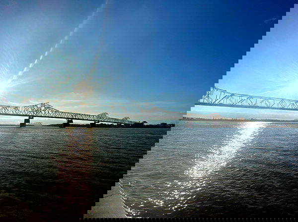 _femalien image ~ Altpins