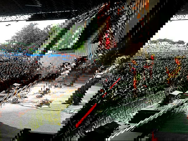 _femalien image ~ Altpins