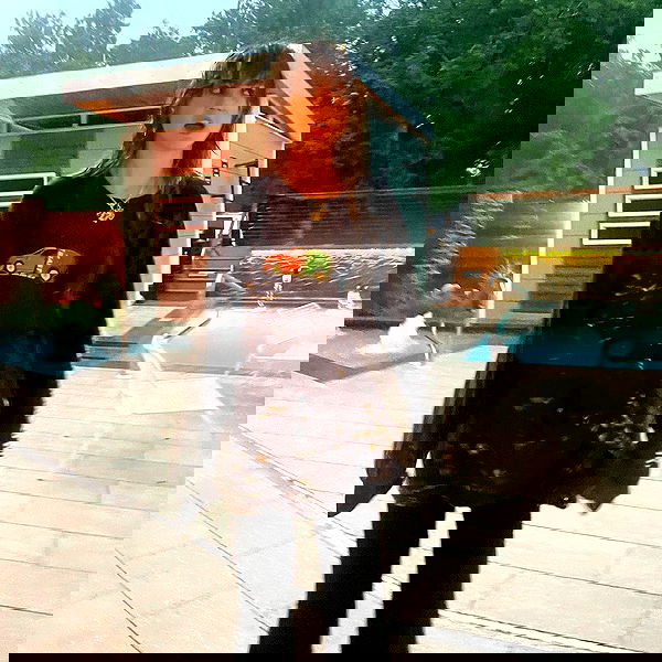 _femalien image ~ Altpins