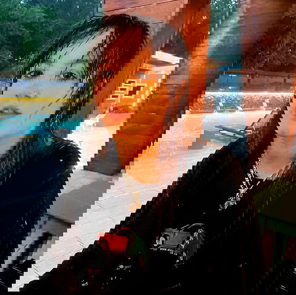 _femalien image ~ Altpins