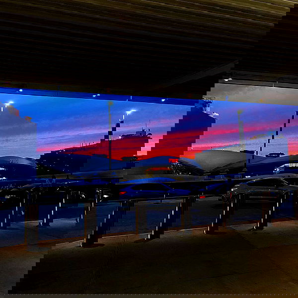 _femalien image ~ Altpins