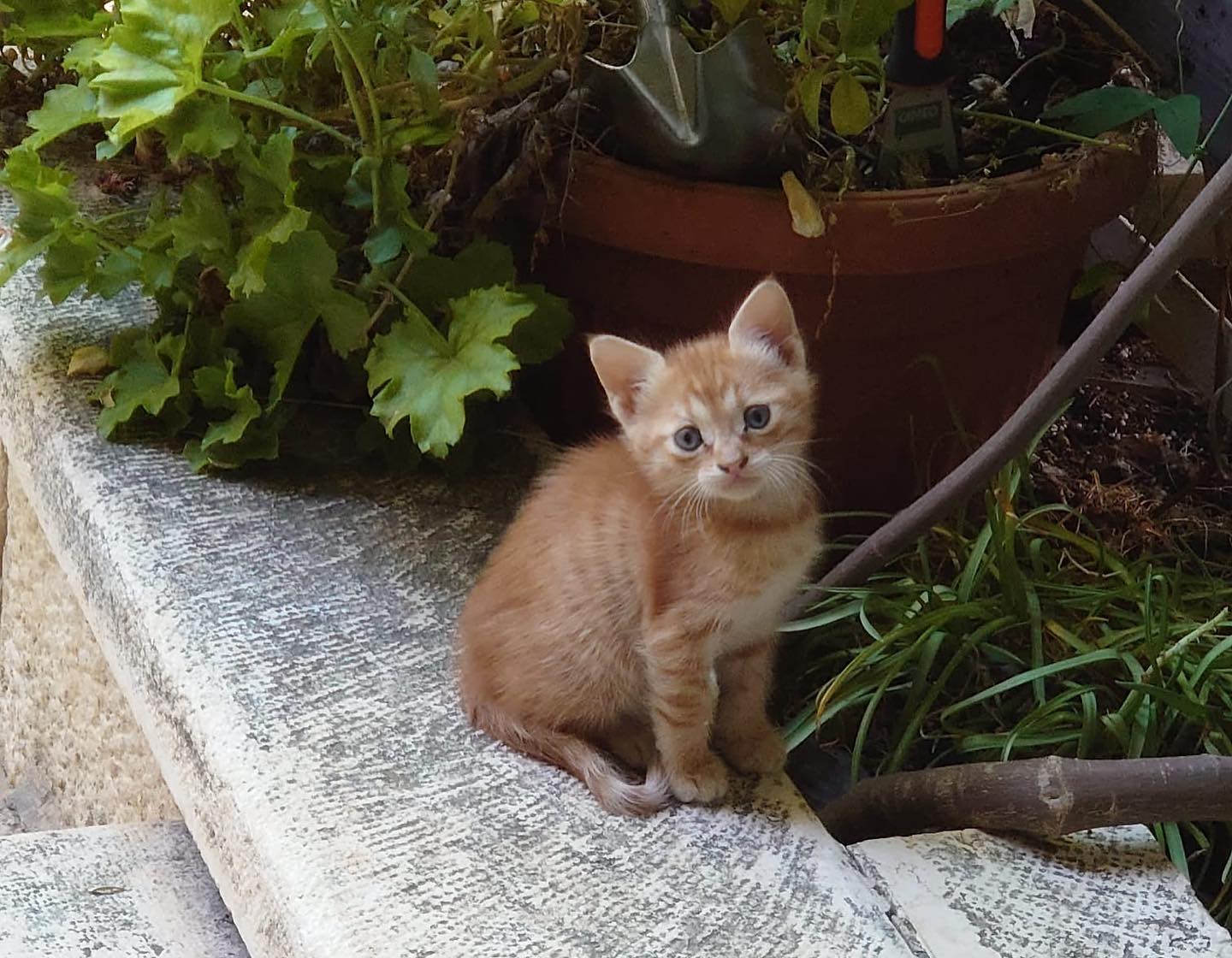 _femalien instagram image archive image