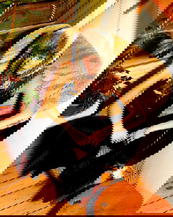 _femalien image ~ Altpins