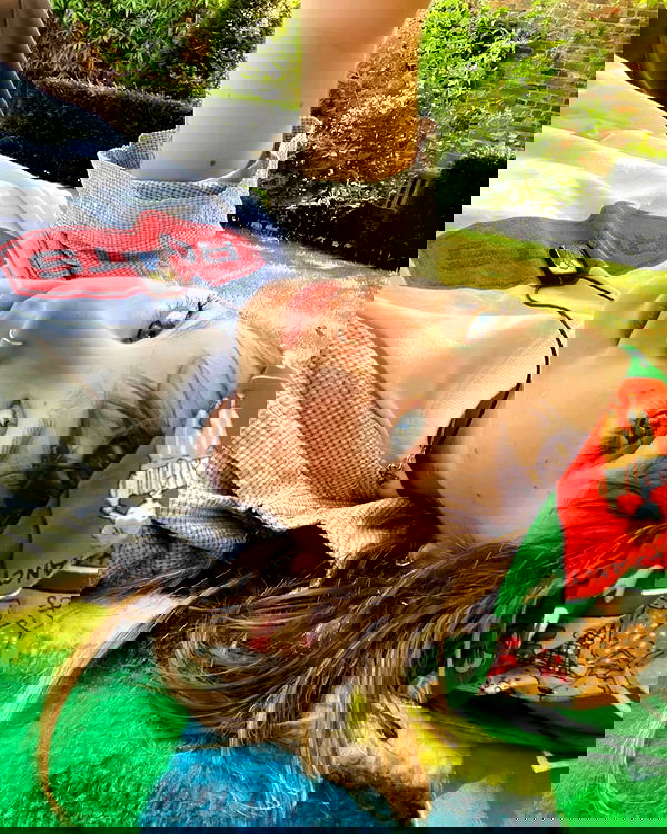 _femalien image ~ Altpins