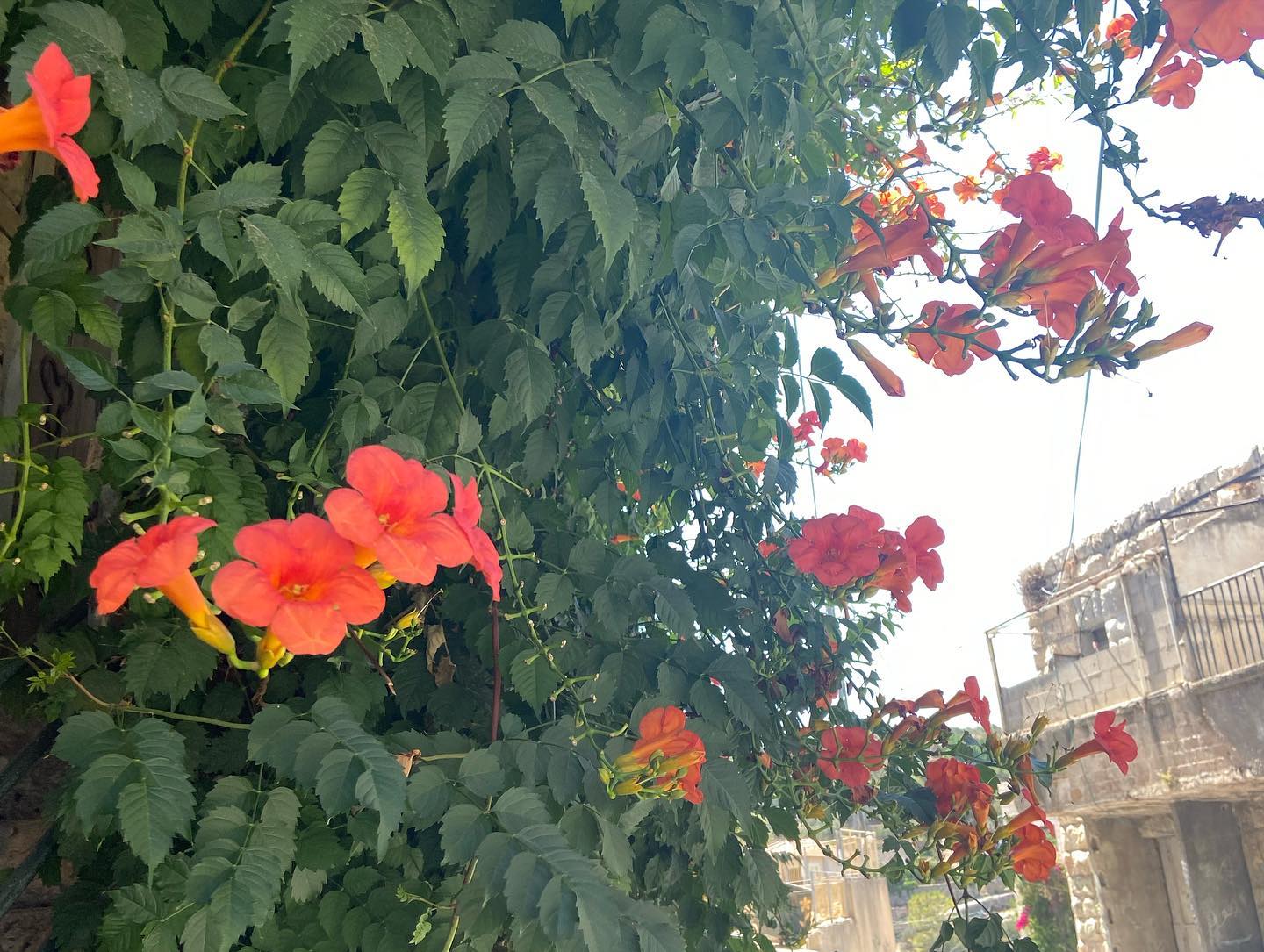 _femalien instagram image archive image