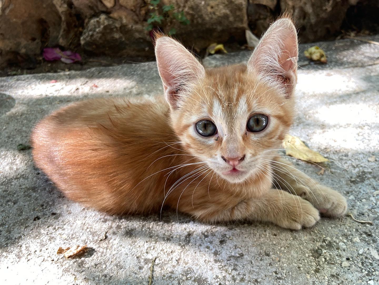 _femalien instagram image archive image