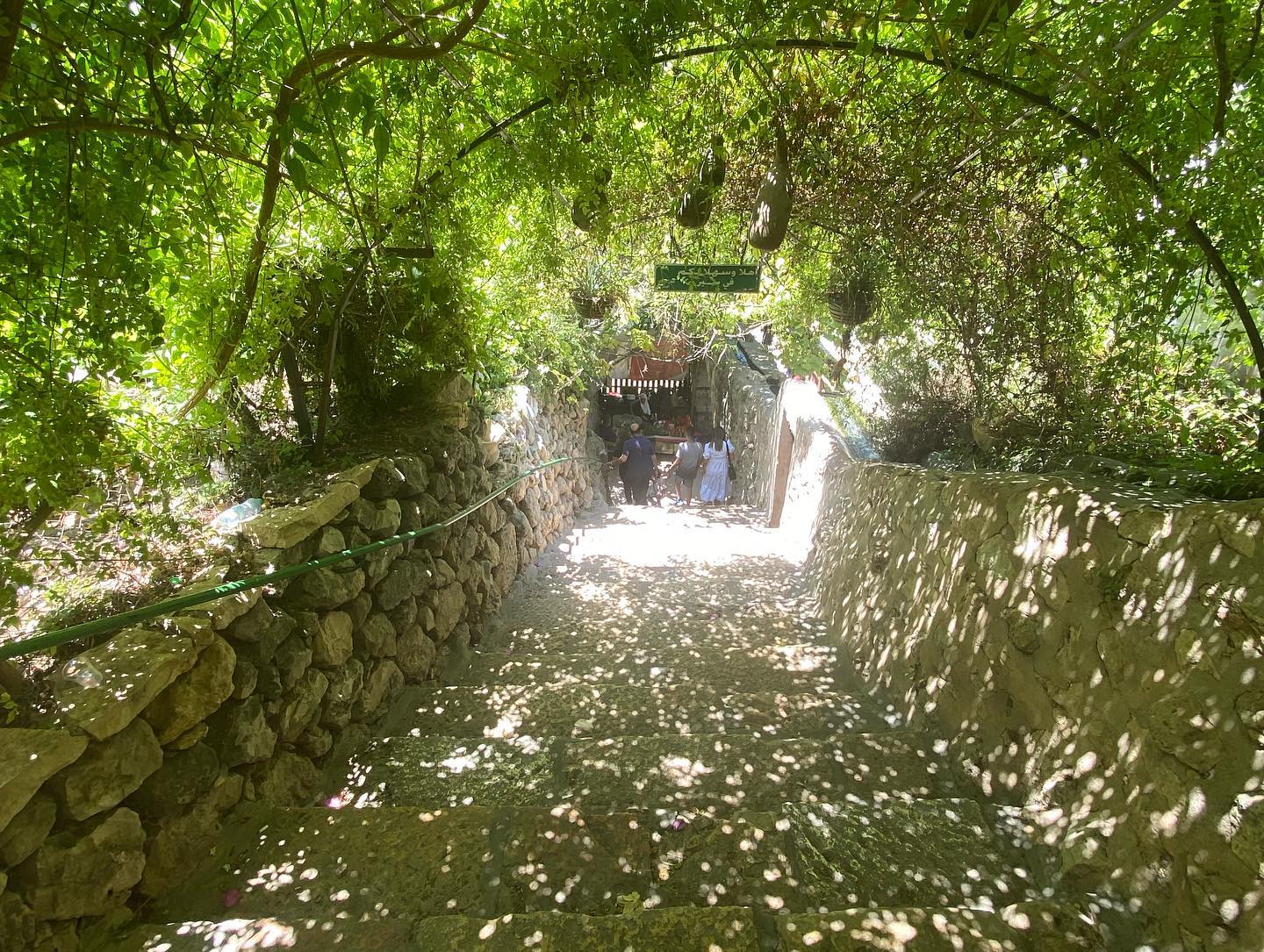 _femalien instagram image archive image