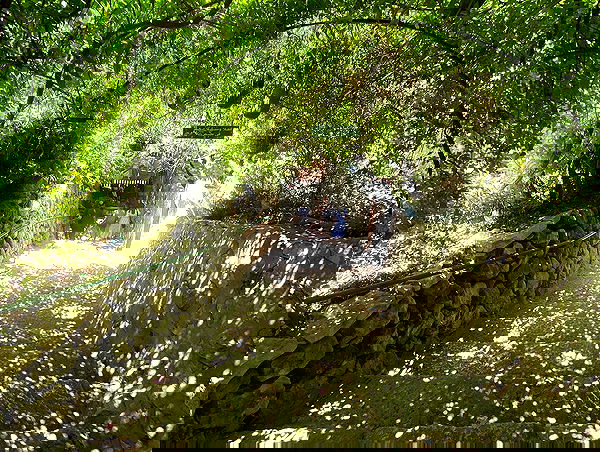 _femalien image ~ Altpins