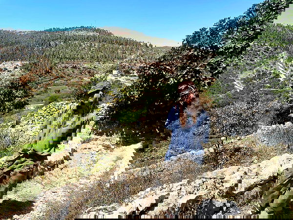 _femalien image ~ Altpins