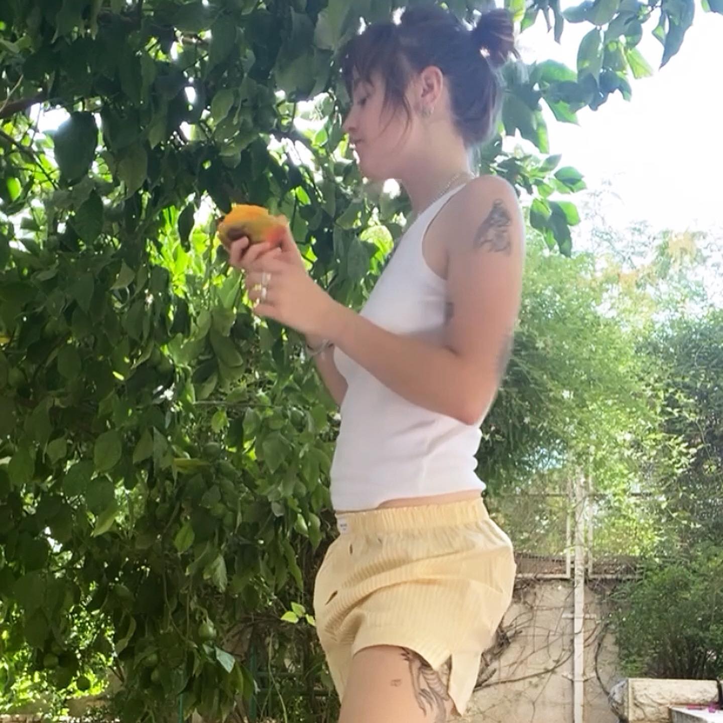 _femalien instagram image archive image