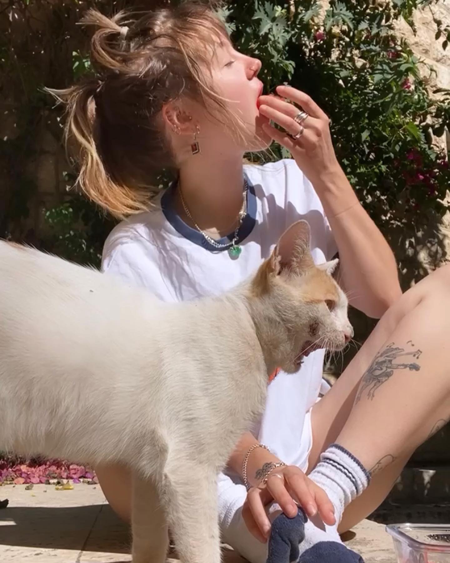 _femalien instagram image archive image