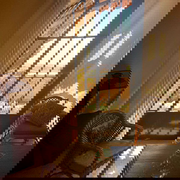 _femalien image ~ Altpins