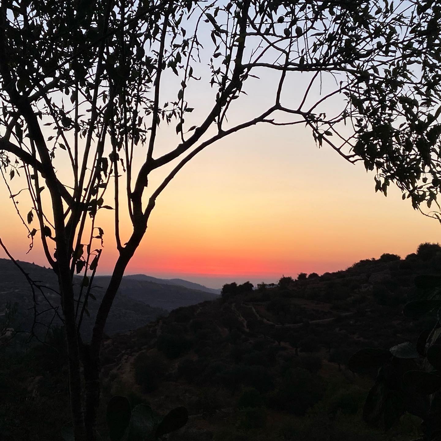 _femalien instagram image archive image