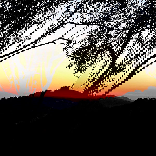 _femalien image ~ Altpins