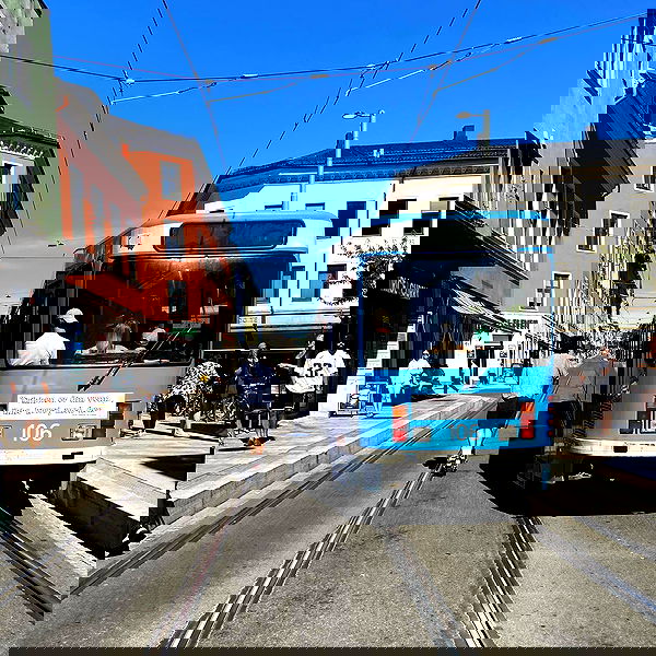 _femalien image ~ Altpins