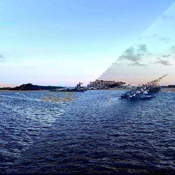 _femalien image ~ Altpins