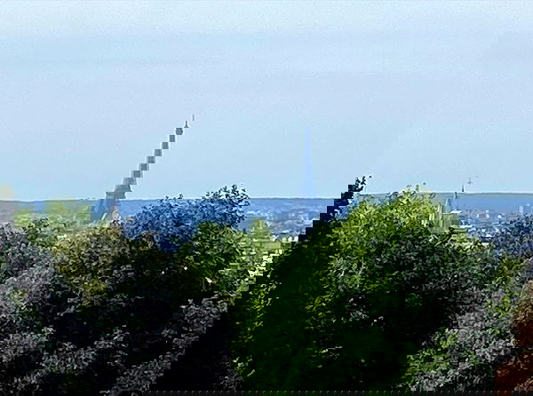 _femalien image ~ Altpins