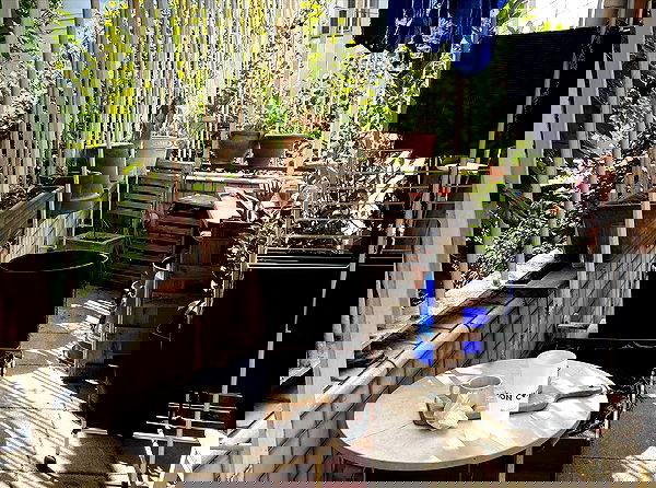 _femalien image ~ Altpins