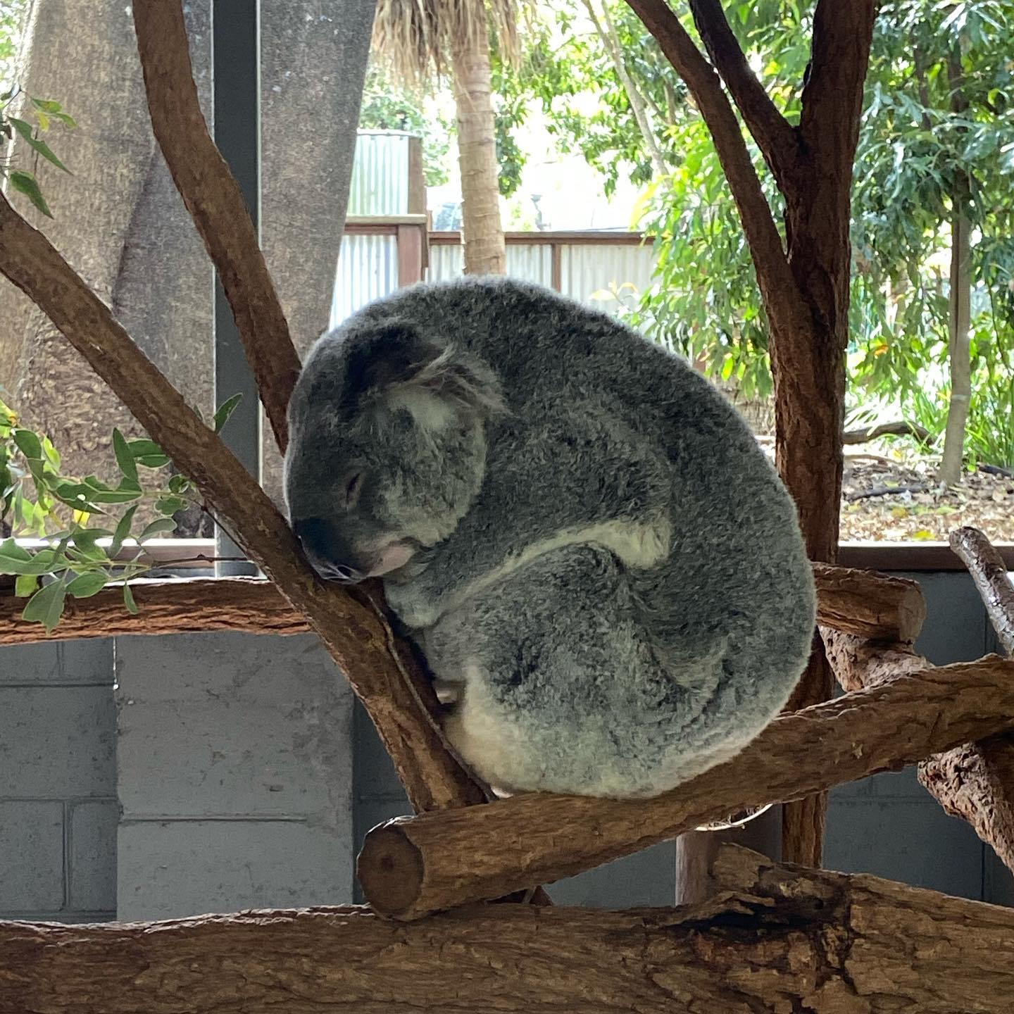 _femalien instagram image archive image