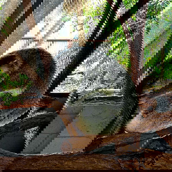 _femalien image ~ Altpins