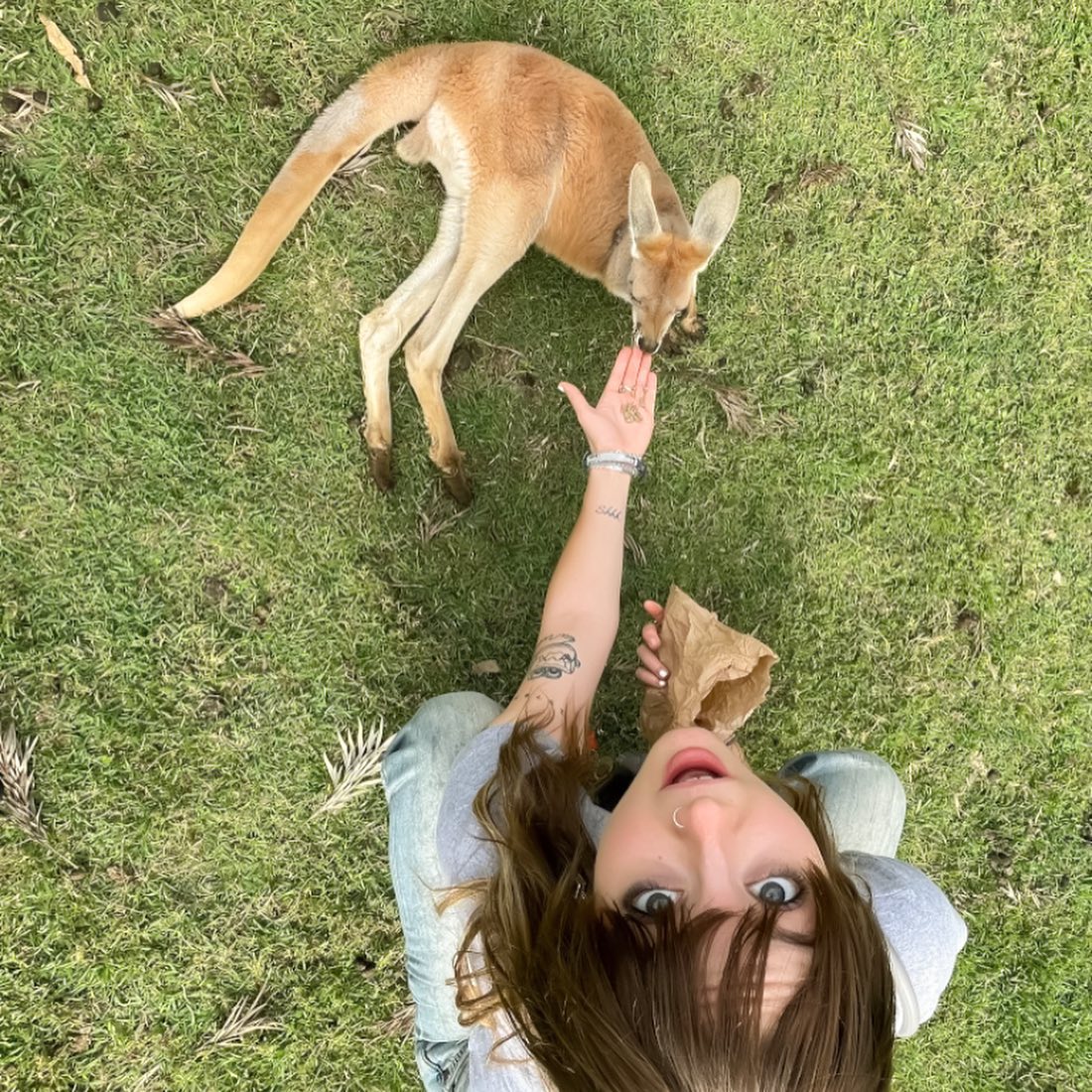 _femalien instagram image archive image