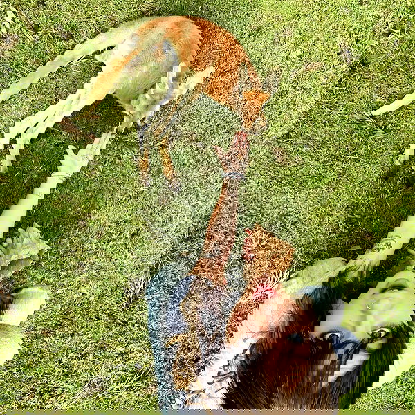 _femalien image ~ Altpins