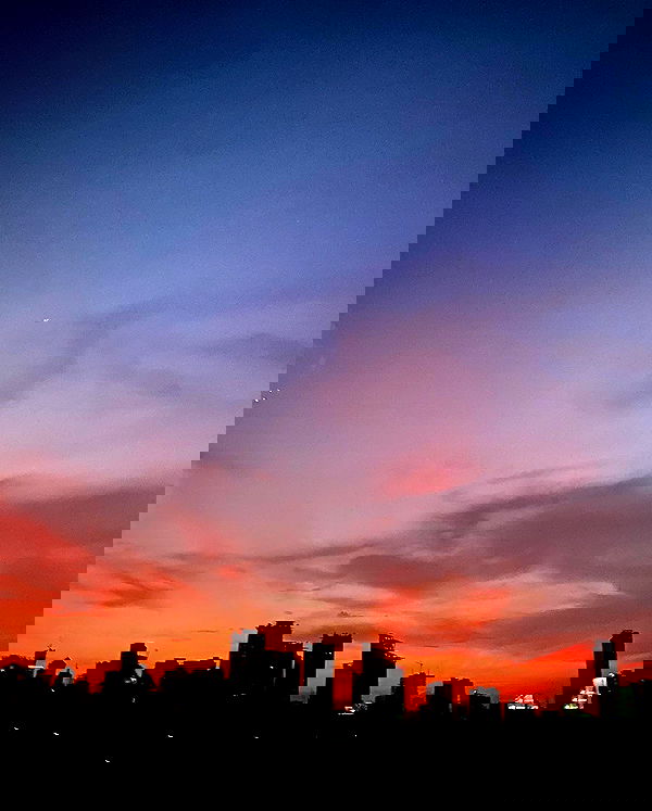 _femalien image ~ Altpins