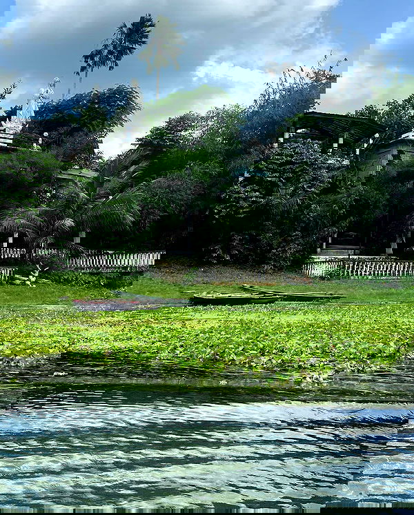 _femalien image ~ Altpins