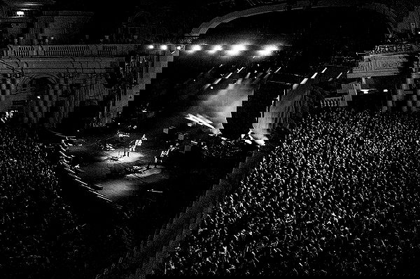 _femalien image ~ Altpins