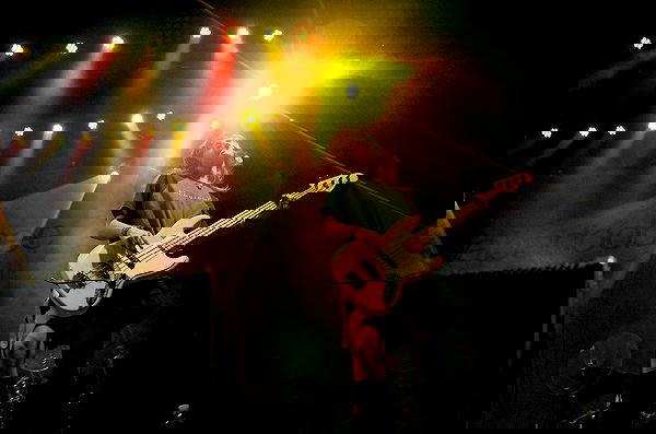 _femalien image ~ Altpins