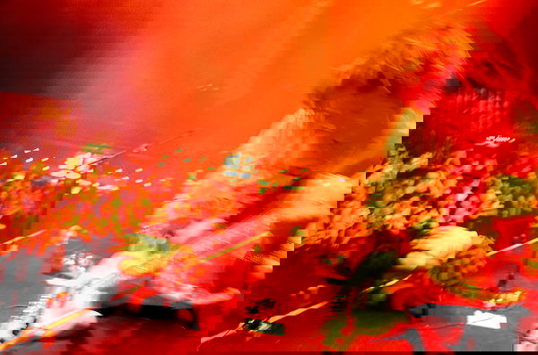 _femalien image ~ Altpins