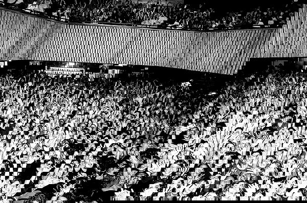 _femalien image ~ Altpins