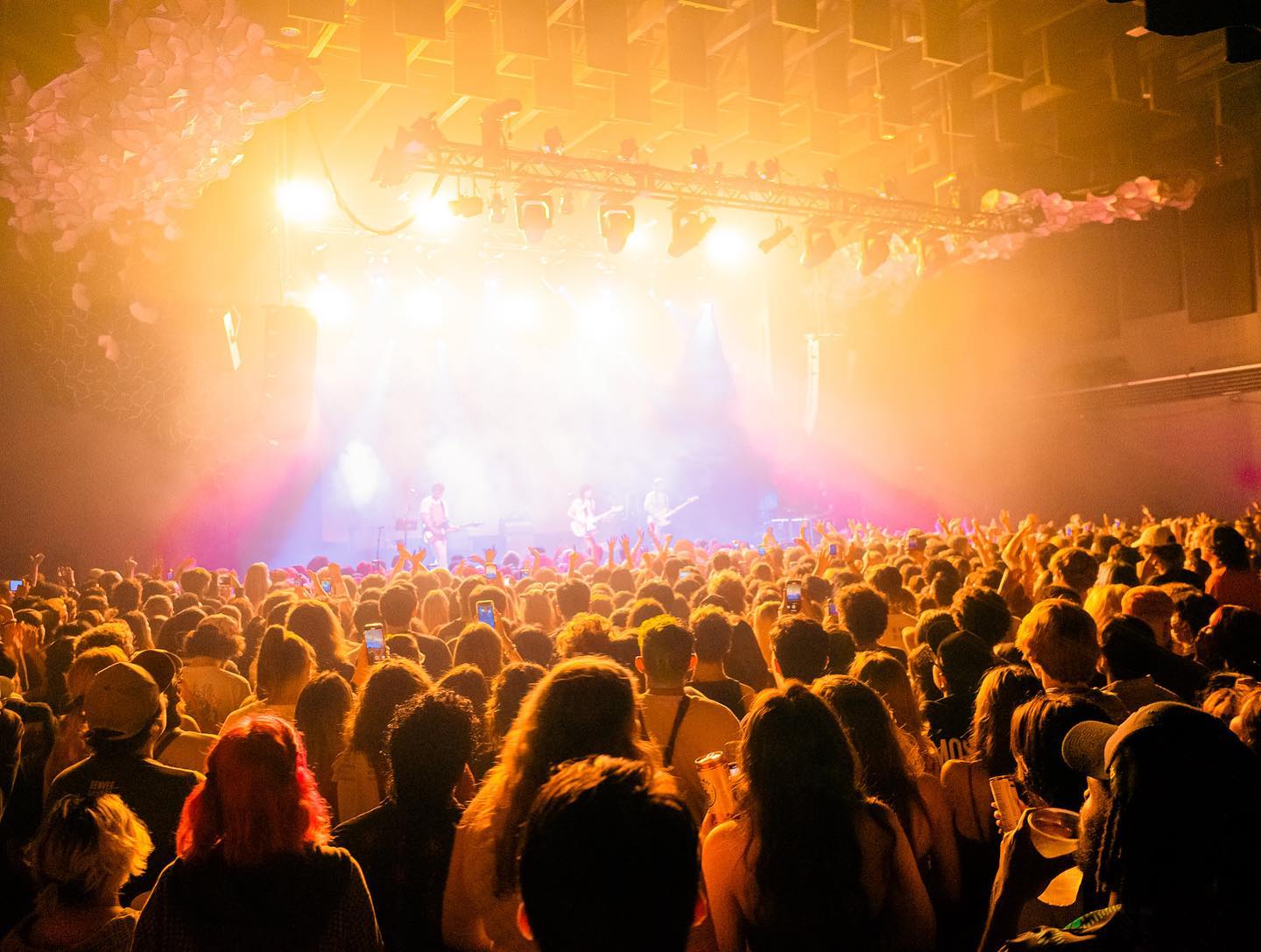 _femalien instagram image archive image