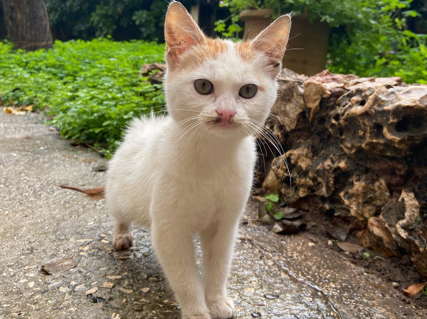 _femalien instagram image archive image