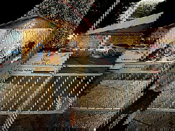 _femalien image ~ Altpins