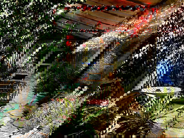 _femalien image ~ Altpins