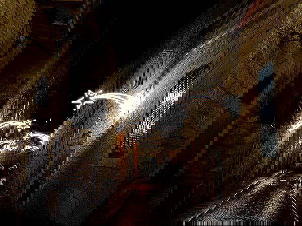 _femalien image ~ Altpins