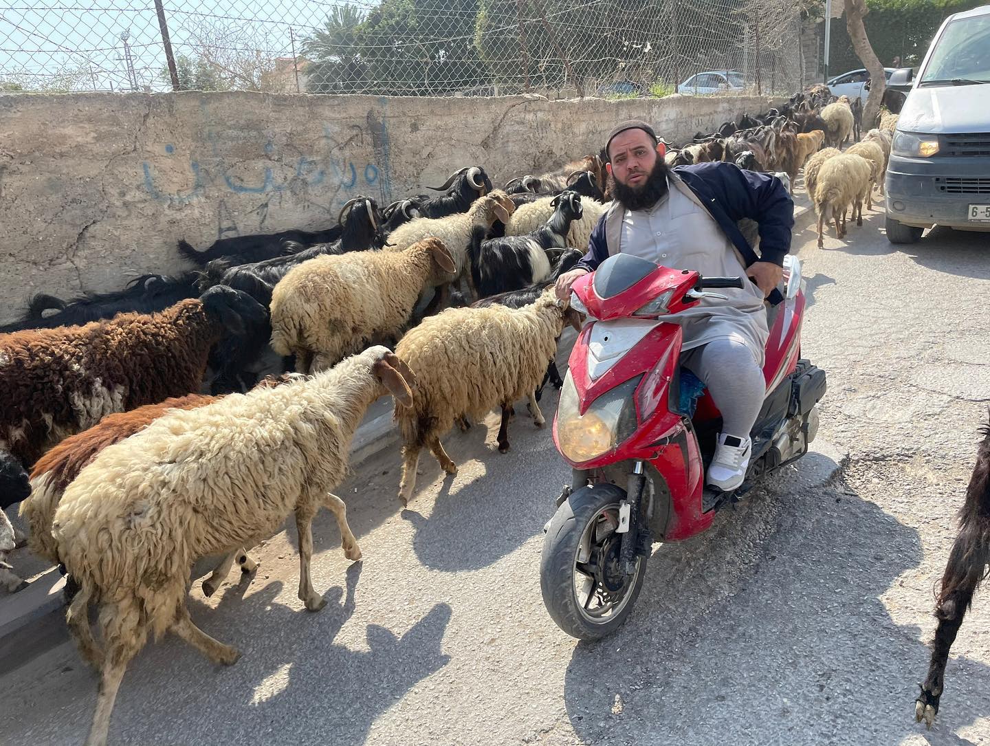 _femalien instagram image archive image