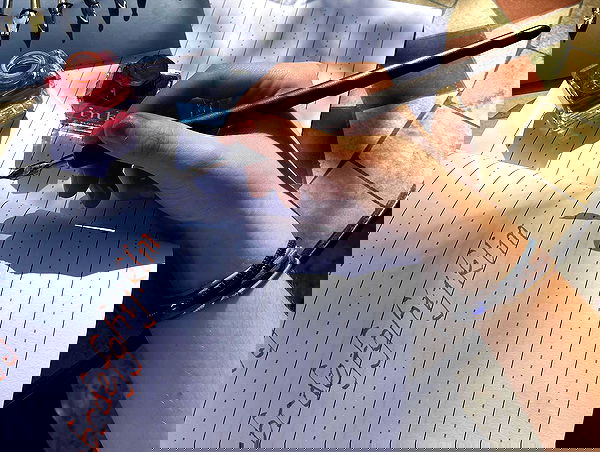 _femalien image ~ Altpins