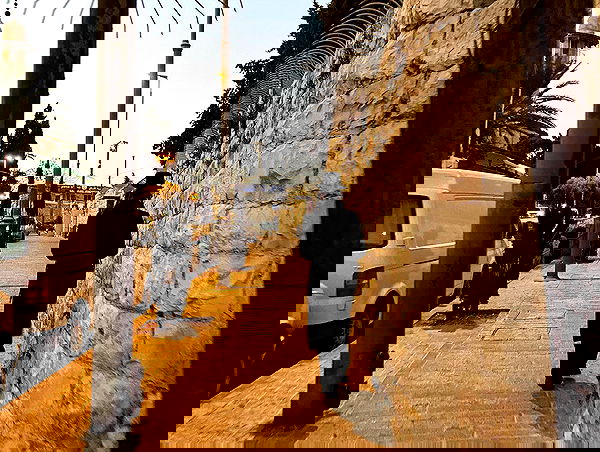 _femalien image ~ Altpins